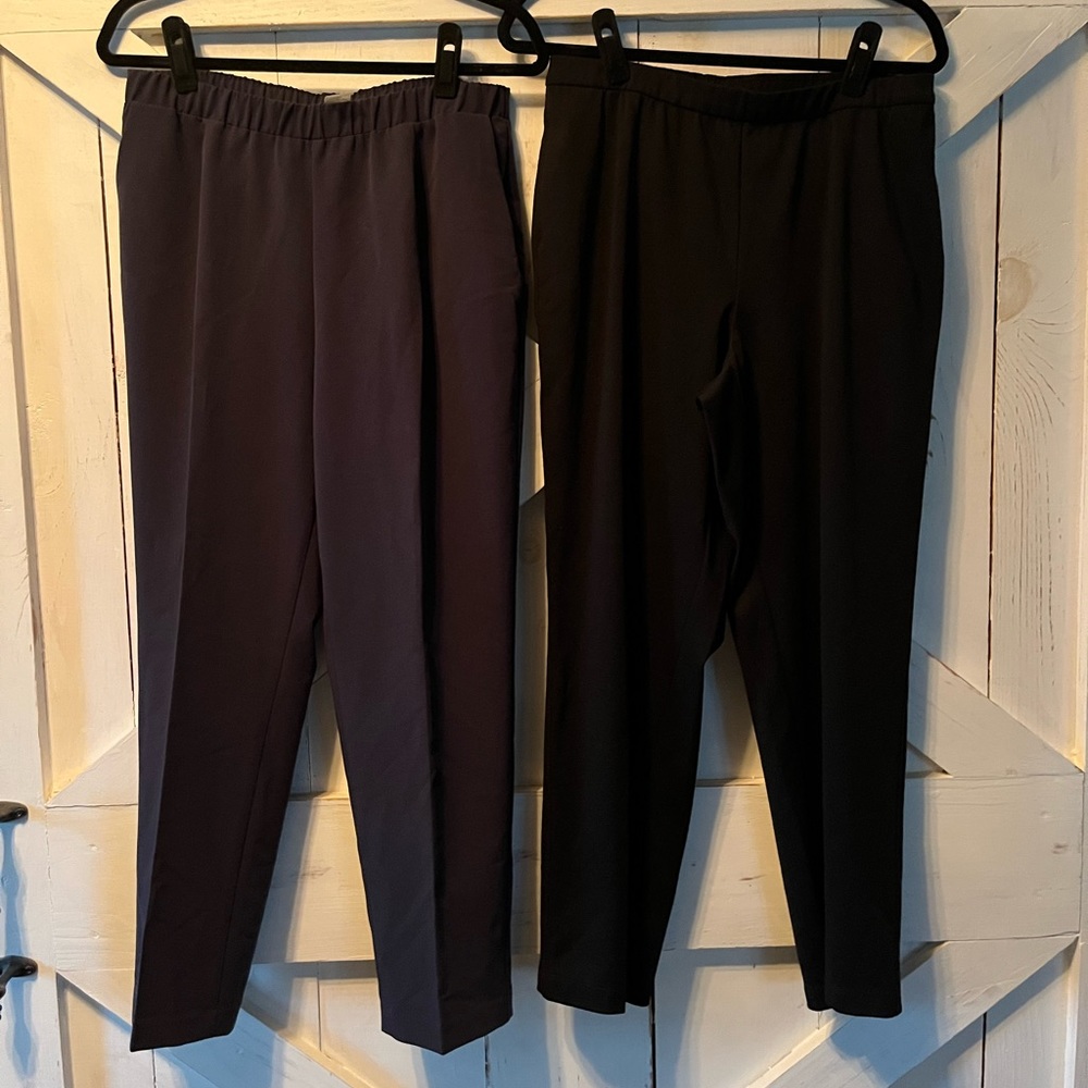 3/$15 Allison Daley Bundle of 2 Pants